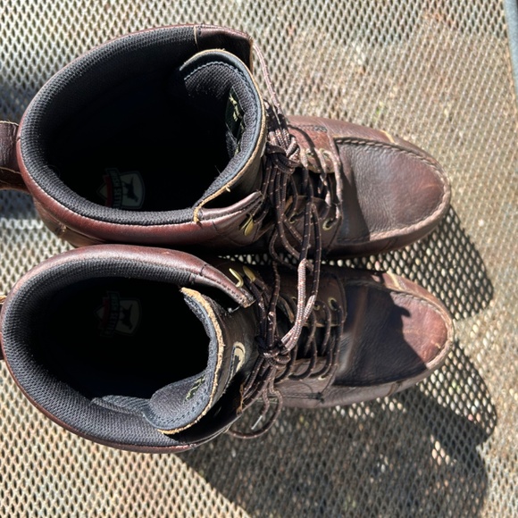 Irish Setter Wingshooter - Picture 6 of 7